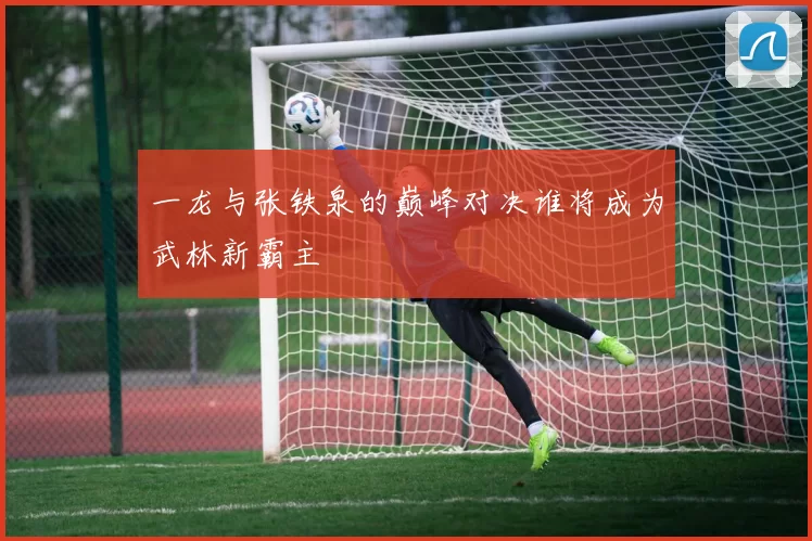 一龙与张铁泉的巅峰对决谁将成为武林新霸主